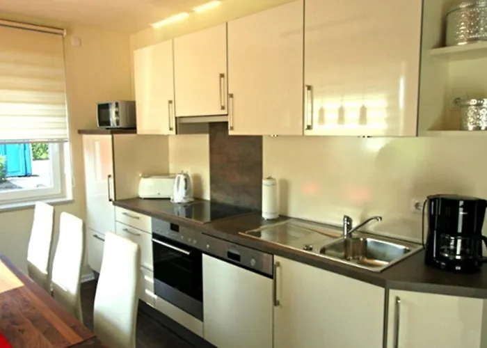 Seestern Inseltraum *